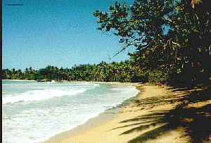 La Playa Bonita en La Ceiba cerca de Las Terrenas