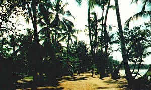 La Playa Bonita en La Ceiba cerca de Las Terrenas