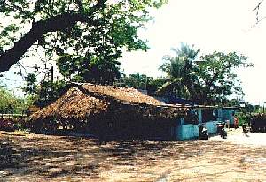 salman viejo cerca aero puerto